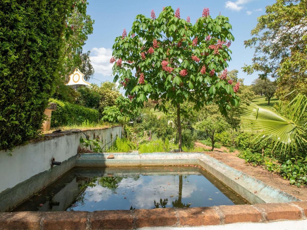 House With Authentic Tiling And Antique Furniture Villa Montemor-o-Novo Exterior photo